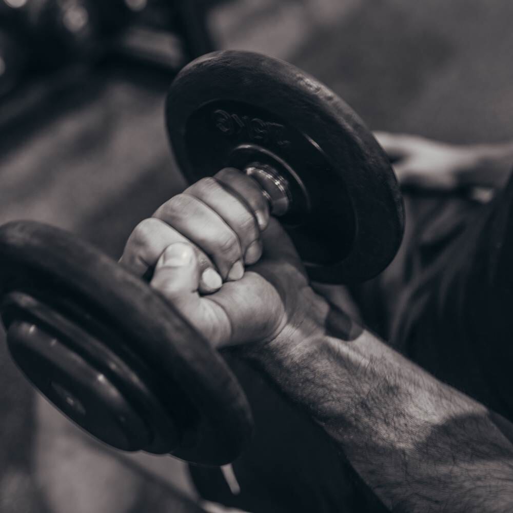 Gym, träning och sport