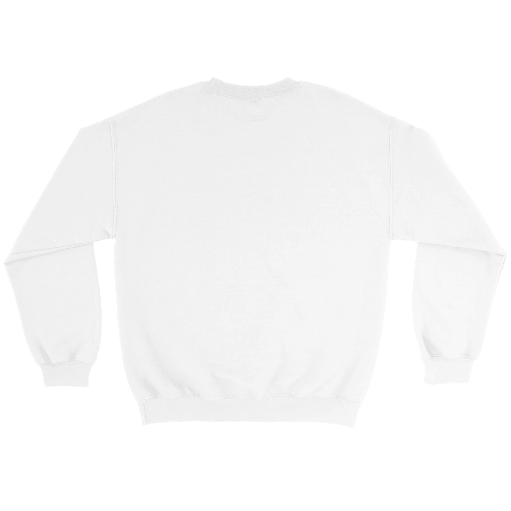 Välhängd - Sweatshirt 